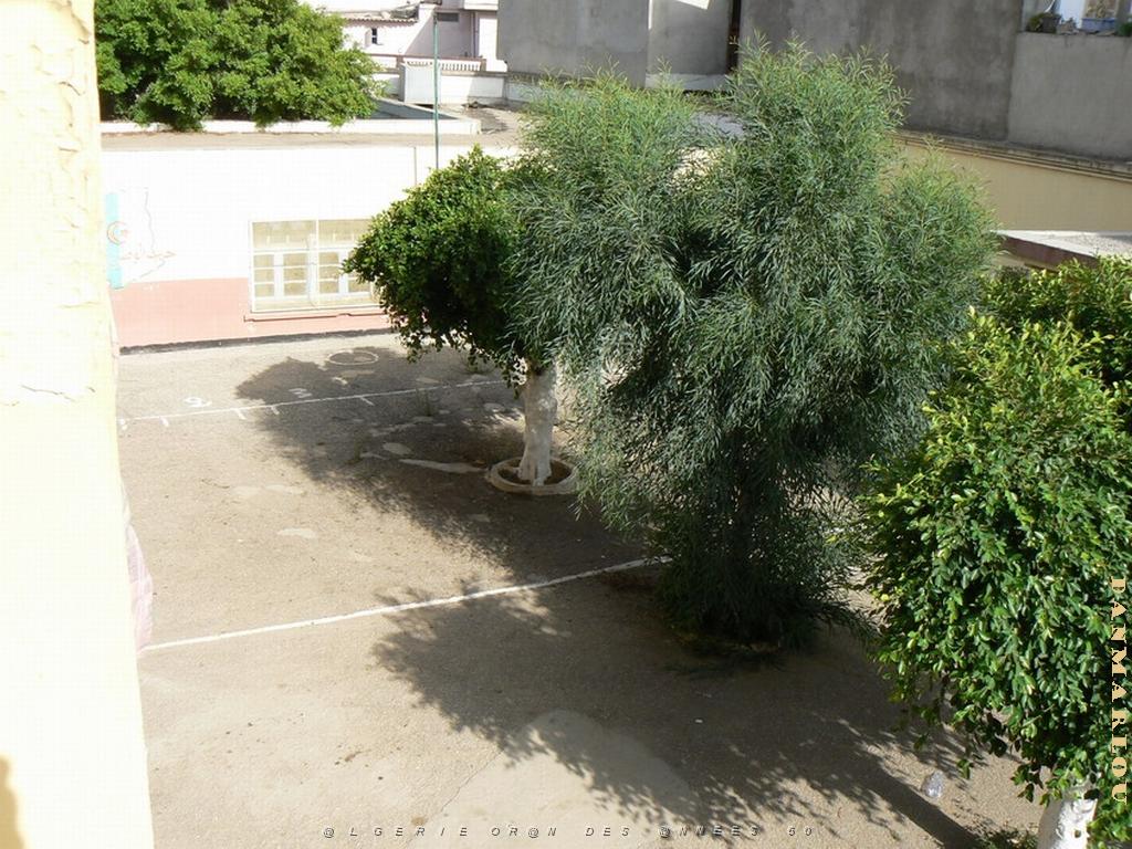 EDGAR QUINET 2009  (33).jpg